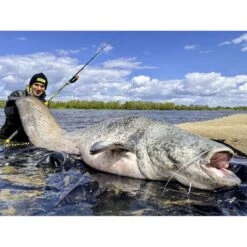 Canne Silure Black Cat Perfect Passion XH-S (462g - 3m00 - Max 350g - 2 - 150cm) 9 Canne Silure Black Cat Perfect Passion XH-S (462g - 3m00 - Max 350g - 2 - 150cm) -Matériel De Pêche canne silure black cat perfect passion xh s 462g 3m00 max 350g 2 150cm 3