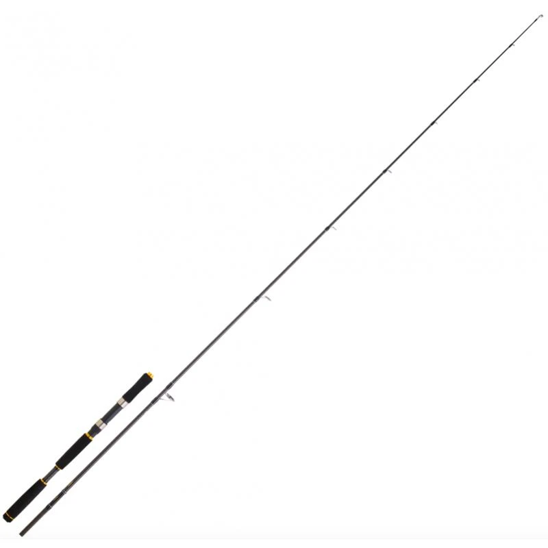 Canne Spinning Mer Daiwa Legalis Seabass AF (144g - 2m59 - 5-21g - 2 - 134cm) 3 Canne Spinning Mer Daiwa Legalis Seabass AF (144g - 2m59 - 5-21g - 2 - 134cm)