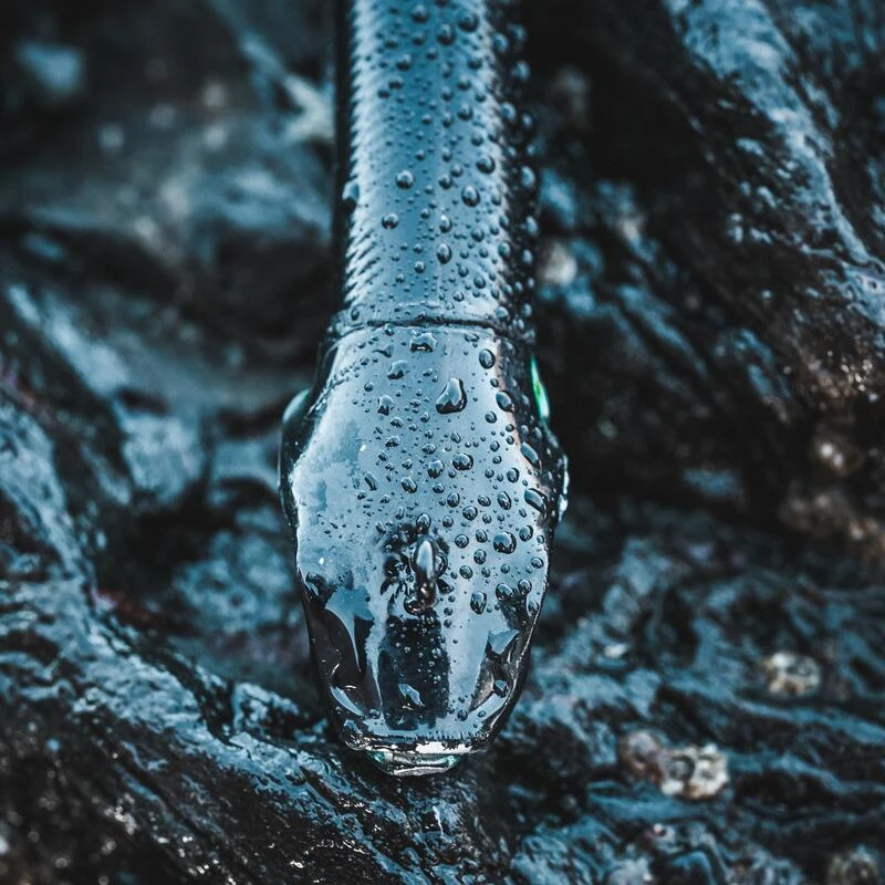 COMBO Leurres Souples Shad Texan ANCHO 120 50g Dos Noir/dos Blanc Pêche En Mer 7 COMBO Leurres Souples Shad Texan ANCHO 120 50g Dos Noir/dos Blanc Pêche En Mer – Image 5